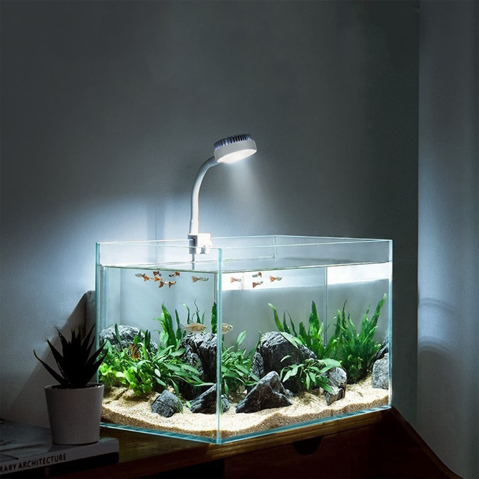 Lighting Systems