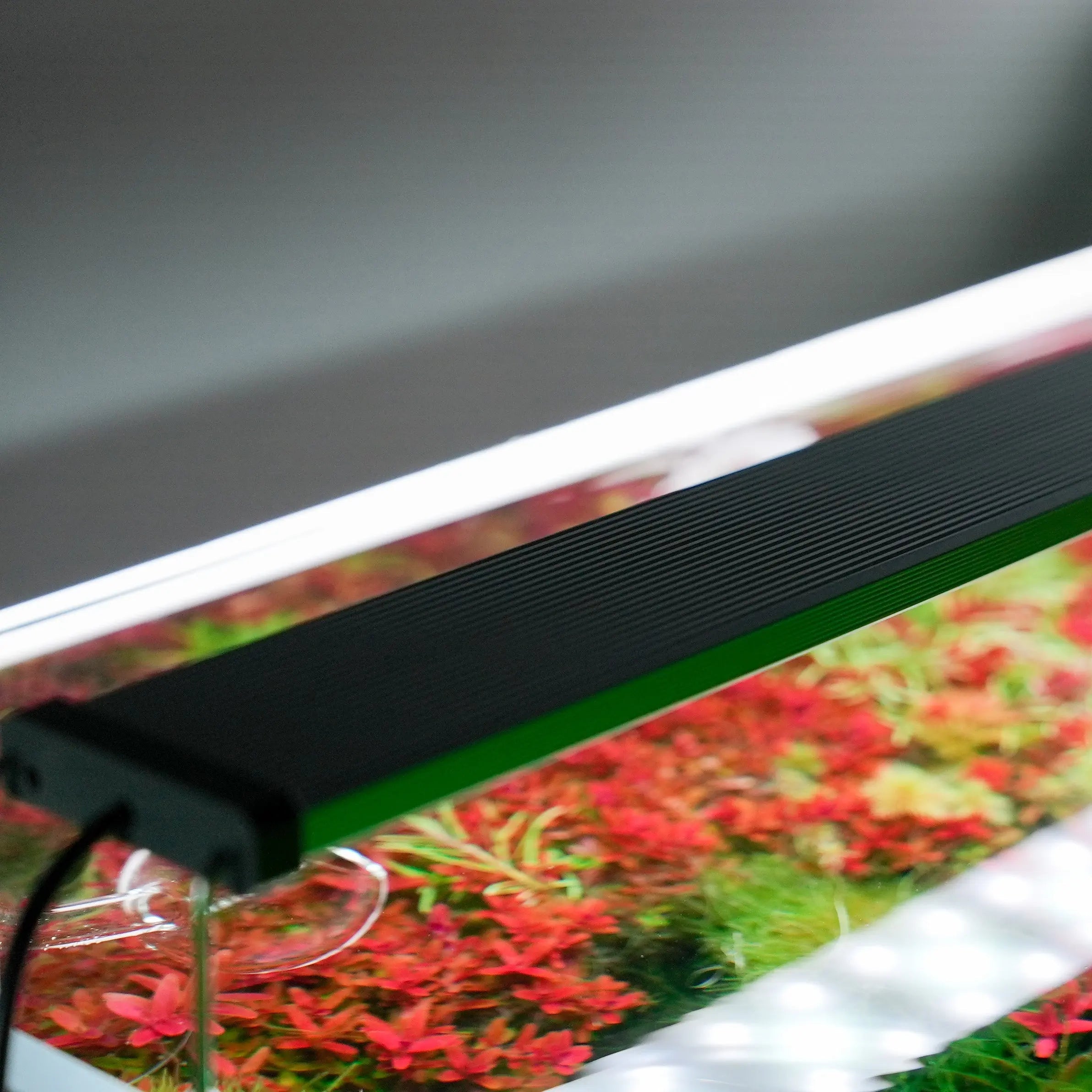 Chihiros B Series LED Light