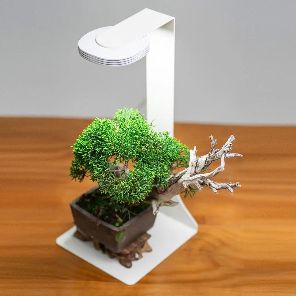 Chihiros Magnetic Light Terrarium Set – DISCONTINUED (FOR DISPLAY ONLY)