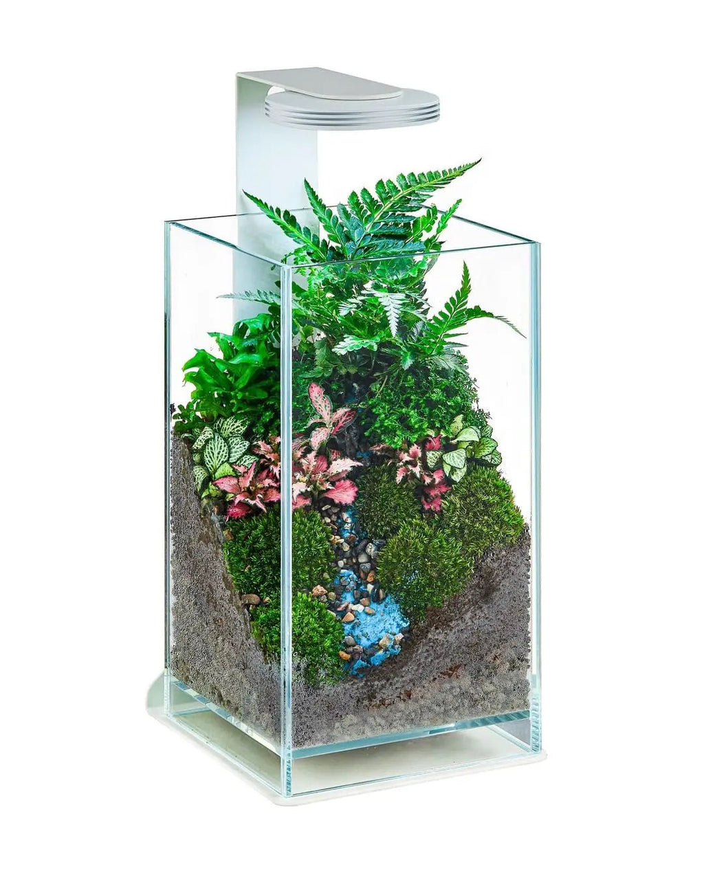 Chihiros Magnetic Light Terrarium Set – DISCONTINUED (FOR DISPLAY ONLY)