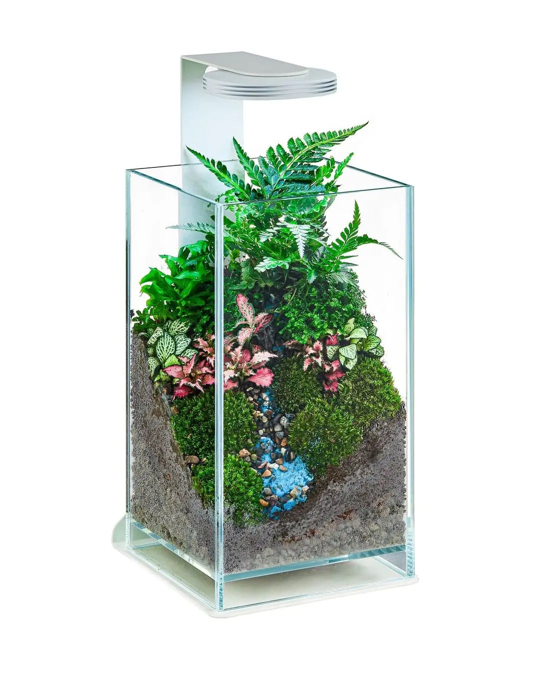 Chihiros Magnetic Light Terrarium Set – DISCONTINUED (FOR DISPLAY ONLY)