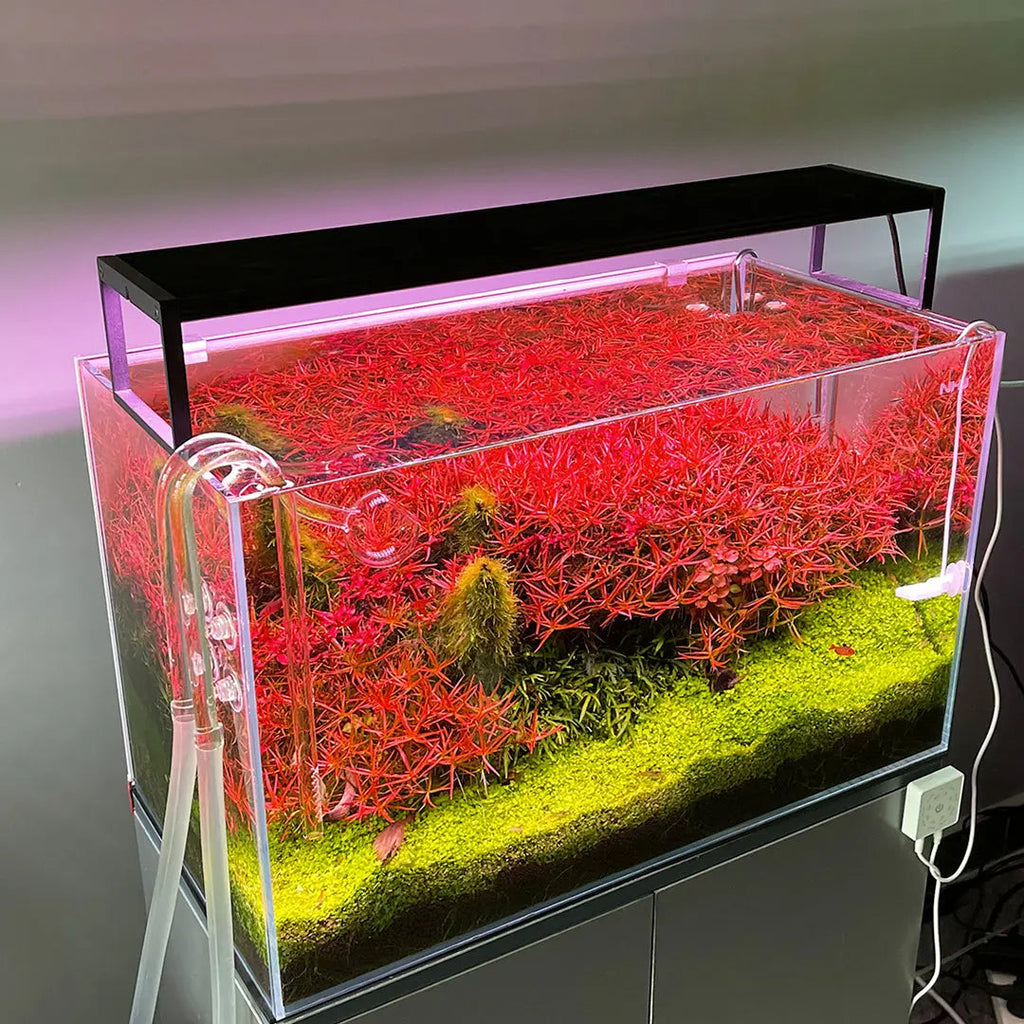 Chihiros WRGB II Slim LED Light