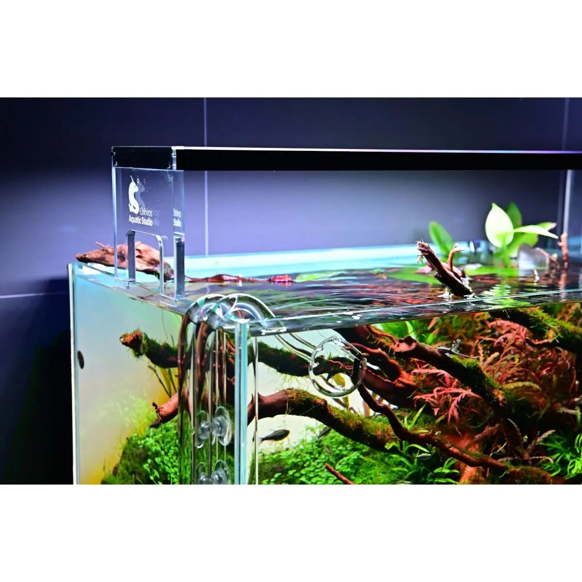 Chihiros WRGB II Acrylic Stand – DISCONTINUED (FOR DISPLAY ONLY)