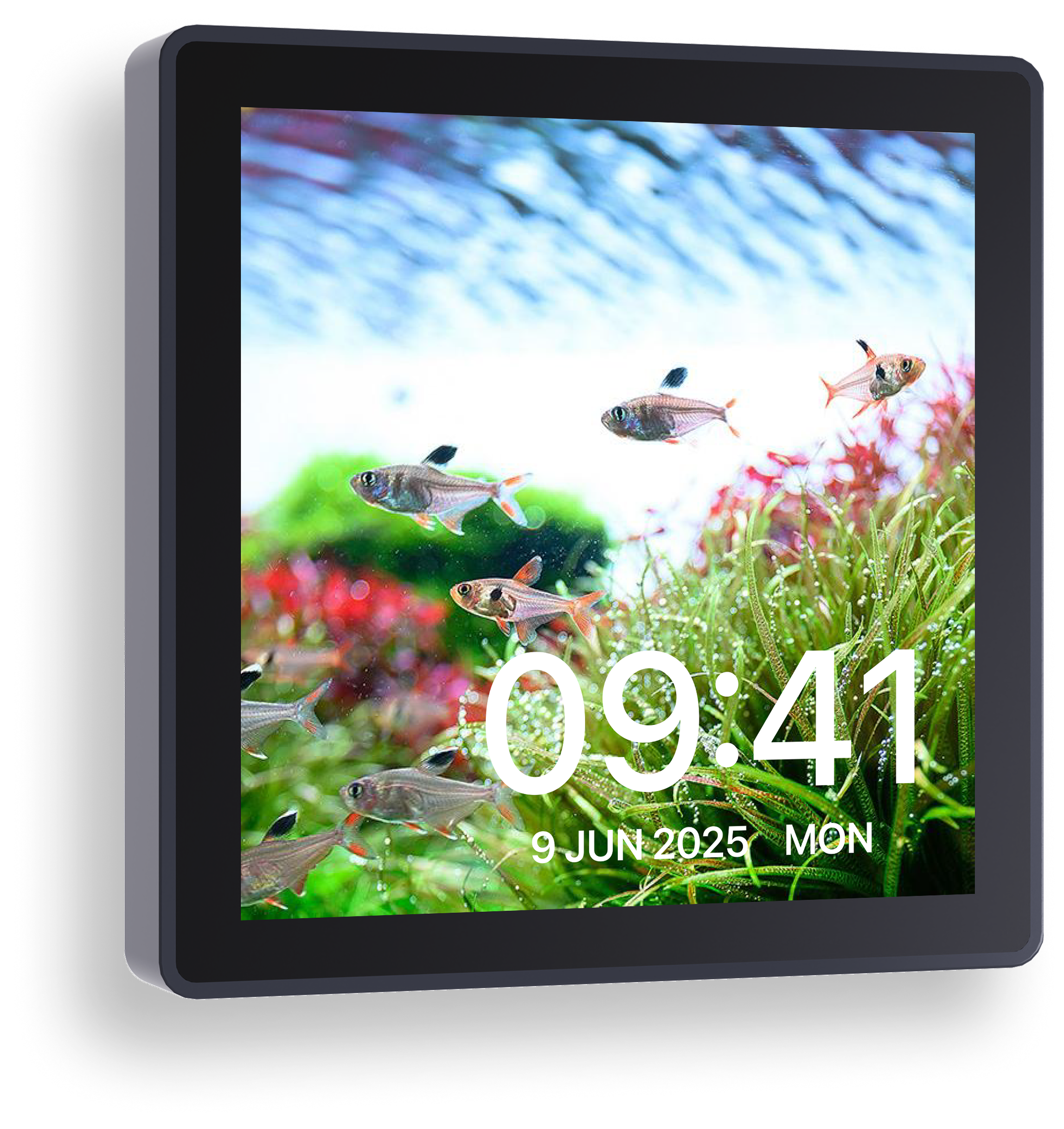 Chihiros WiFi Hub Pro